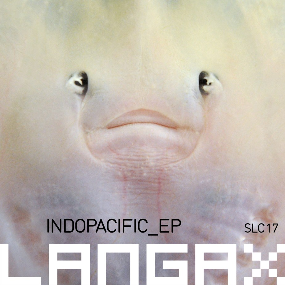 Langax – Indopacific