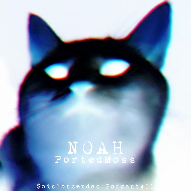 soisloscerdos_podcast10-cover